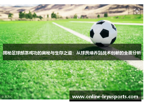 揭秘足球部落成功的奥秘与生存之道：从球员培养到战术创新的全面分析
