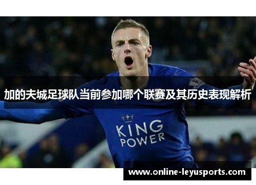 加的夫城足球队当前参加哪个联赛及其历史表现解析